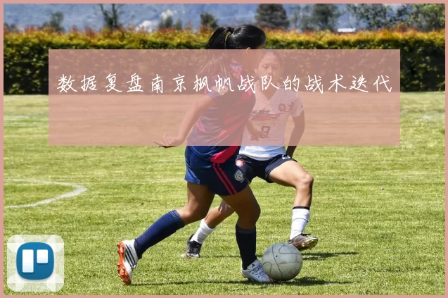 数据复盘南京枫帆战队的战术迭代