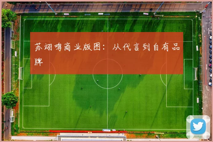 苏翊鸣商业版图：从代言到自有品牌