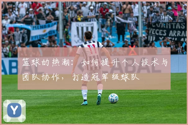 篮球的热潮：如何提升个人技术与团队协作，打造冠军级球队