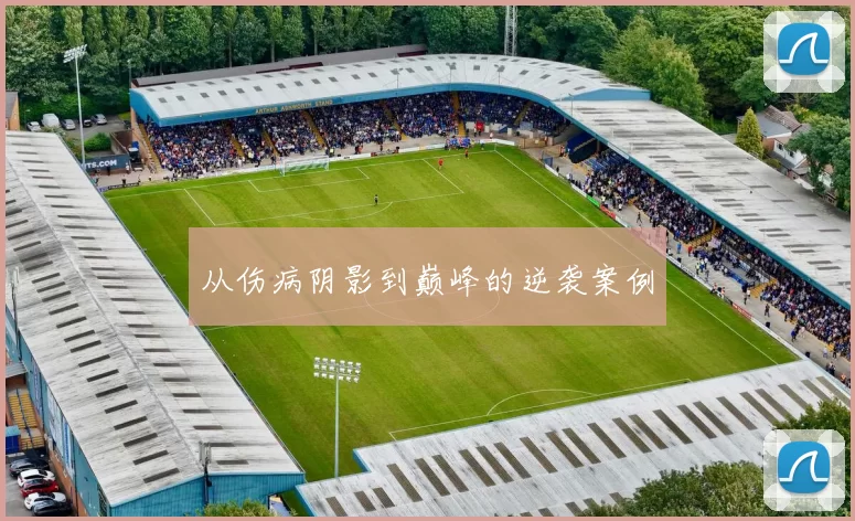 从伤病阴影到巅峰的逆袭案例