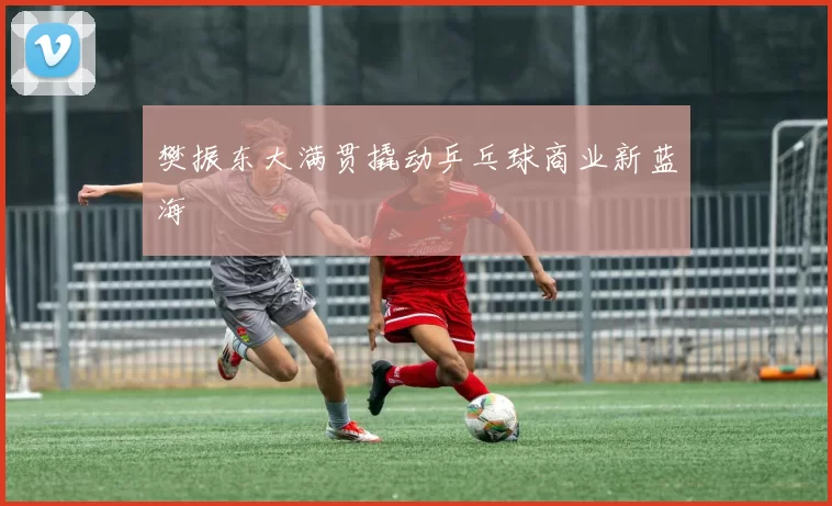 樊振东大满贯撬动乒乓球商业新蓝海