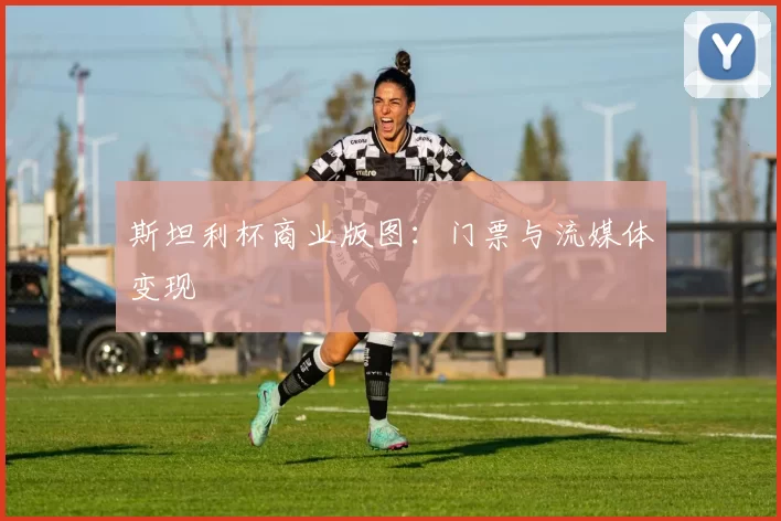 斯坦利杯商业版图：门票与流媒体变现