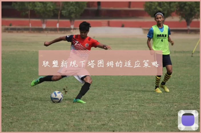 联盟新规下塔图姆的适应策略